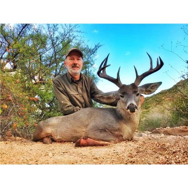 Coues Deer Hunt - Mexico