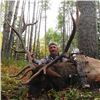 Image 2 : Rocky Mountain Elk - British Columbia