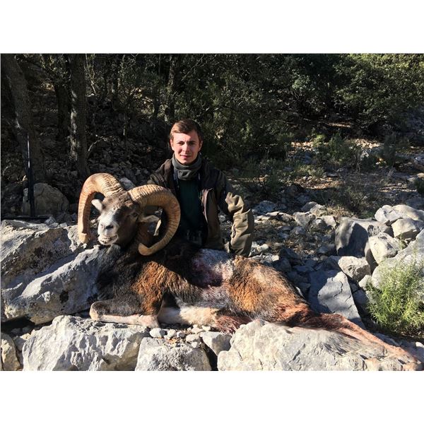 Spain Rifle Combination Hunt - Spain