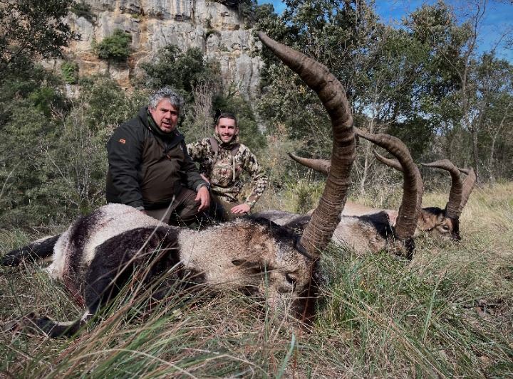 Spain Infantry Rifle Spain Rifle Combination Hunt - Spain