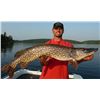 Image 2 : Walleye Fishing Trip - Ontario