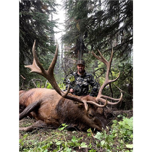 Archery Elk Hunt - British Columbia