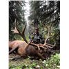Image 1 : Archery Elk Hunt - British Columbia