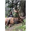 Image 2 : Archery Elk Hunt - British Columbia