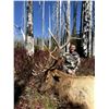 Image 3 : Archery Elk Hunt - British Columbia