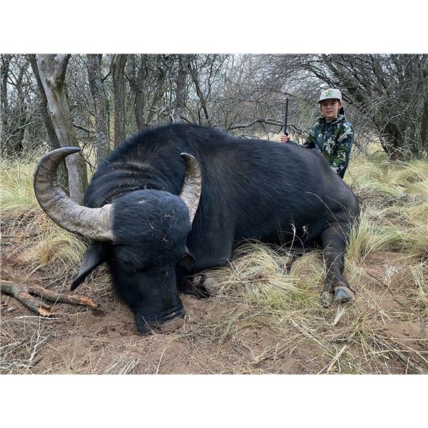 Water Buffalo Hunt - Argentina