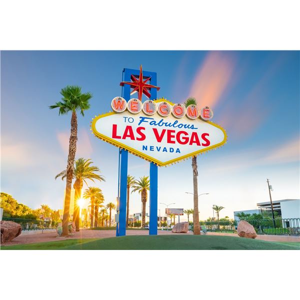 Las Vegas Experience