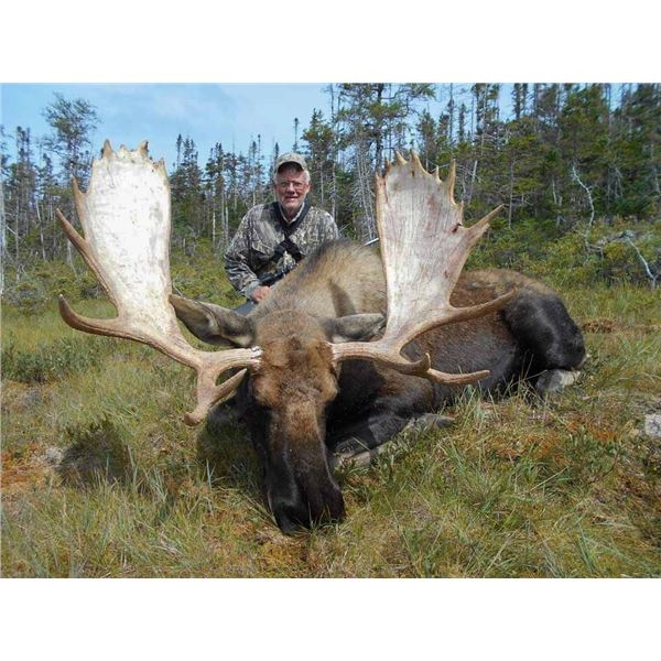 Eastern Canadian Moose Hunt