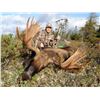 Image 3 : Eastern Canadian Moose Hunt