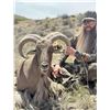 Image 1 : Aoudad Hunt - New Mexico / Texas