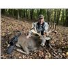 Image 1 : 4 Day Whitetail Hunt (up to 200”) for 1 Hunter