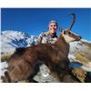 Image 3 : 5 Day Bull Tahr and Chamois Combo Hunt for 1 Hunter