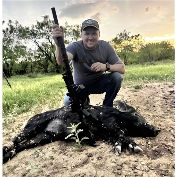 3 Days/3 Nights Texas Hog Hunt for 2 Hunters