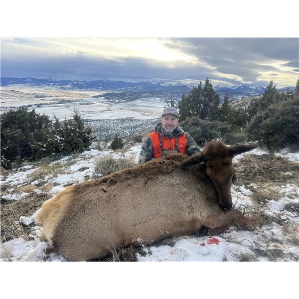 2 Day Cow Elk Hunt for 1 Hunter