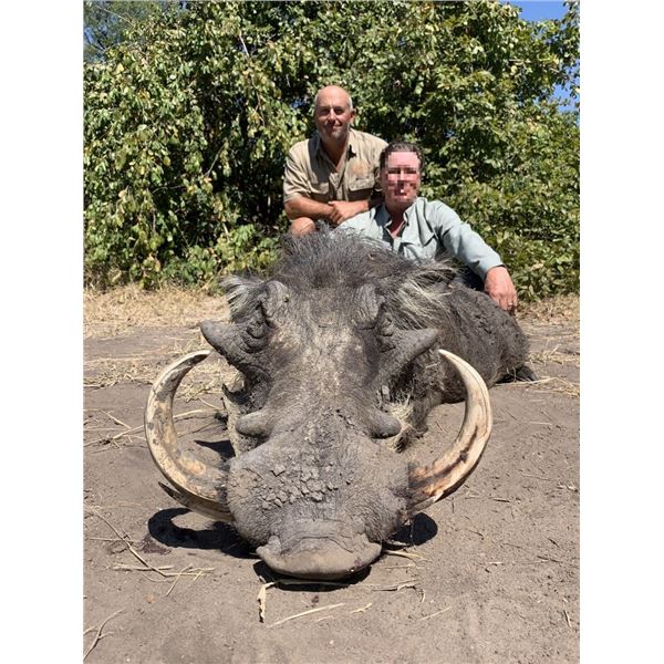 7 Day Safari for 1 Oryx, 1 Springbok, 1 Warthog for 2 Hunters to share or 1 Hunter and 1 Observer