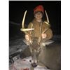 Image 1 : 1 Day, one-on-one Youth Cull Whitetail Buck or Doe Hunt with Parent