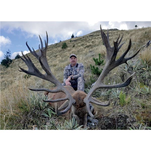 5 Days (4 Days Hunting) Red Stag 320” to 360” (Trophy Caliber) for 1 Hunter