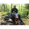 Image 1 : 3 Day Black Bear Hunt with Hounds for 1 Hunter and 1 Observer