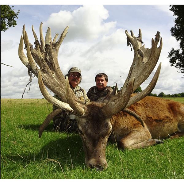 5 Days (3 hunting) Fall Scotland Hill Red Stag Hunt for 1 Hunter