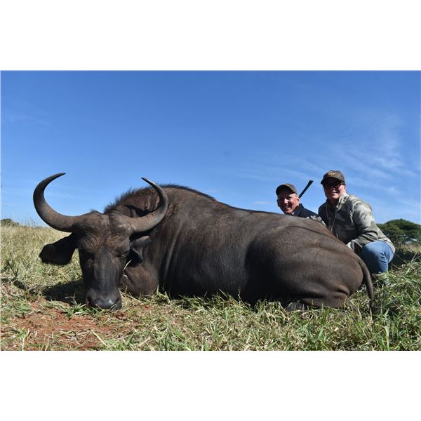 7 Day Hunt for 1 Cape Buffalo Cow and 1 Common Blesbuck for 2 Hunters or 1 Hunter and 1 Observer