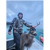 Image 1 : Transport for a 6 Day/5 Night DIY Sitka Black Tail Deer and Waterfowl Adventure for 3 Hunters