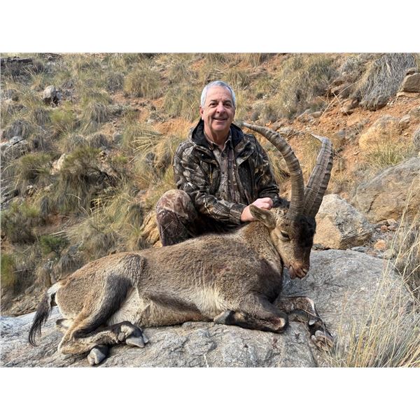 4 Day (5 Night) Beceite Ibex Hunt up to 75 SCI (bronze) for 1 Hunter and 1 Observer