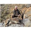 Image 1 : 4 Day (5 Night) Beceite Ibex Hunt up to 75 SCI (bronze) for 1 Hunter and 1 Observer