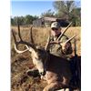 Image 1 : 3 Day/4 Night Whitetail Muzzleloader Hunt for 2 Hunters