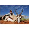 Image 2 : 7 Day Safari (5 full hunting days) for 2 Hunters for 4 Trophies (1 Gemsbok and 1 Springbok each)