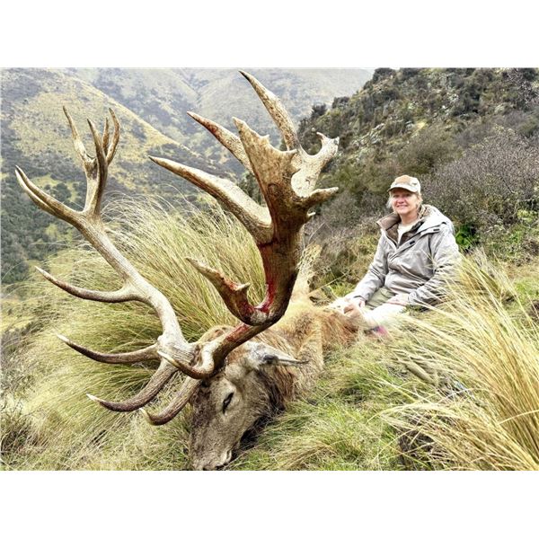 5 Day/4 Night Red Stag Hunt for 2 Hunters and 2 Observers ($2,500 credit for each hunter toward any 