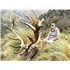 Image 1 : 5 Day/4 Night Red Stag Hunt for 2 Hunters and 2 Observers ($2,500 credit for each hunter toward any 