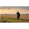 Image 1 : 5 Day Bird Hunt (Doves and Upland Birds) for 2 Hunters (2x1)
