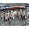 Image 2 : 5 Day Bird Hunt (Doves and Upland Birds) for 2 Hunters (2x1)