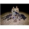 Image 2 : 2 Day Unlimited Texas Hog Hunt for 2 Hunters