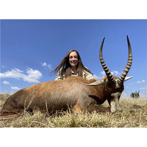 8 Day plains game hunt for 2 Blesbuck, 2 Blue Wildebeest, 2 Impala, 2 Zebra (Animals shared) with 1 