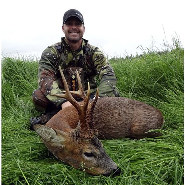 5 Days (3 hunting) Spring Roe Deer Hunt in Scotland for 2 Roe Buck for 1 Hunter