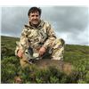 Image 2 : 5 Days (3 hunting) Spring Roe Deer Hunt in Scotland for 2 Roe Buck for 1 Hunter