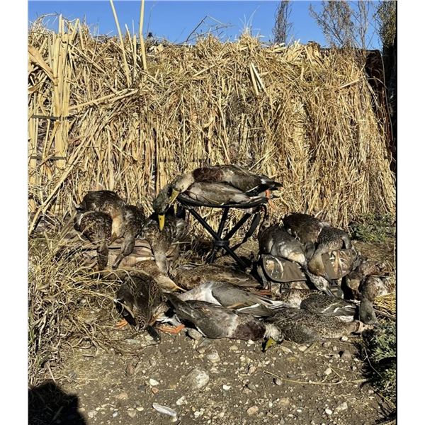 4 Days/4 Nights North Dakota Waterfowl Hunt for 2 Hunters