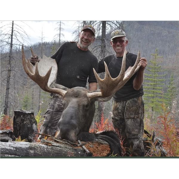 8 Day Moose/Elk combo hunt (spot and stalk) plus 1 wolf for 1 Hunter.