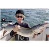 Image 1 : 8 Hour Muskie fishing trip on the Detroit River for 1-5 Anglers