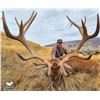 Image 1 : 5 Day Red Stag (up to 320), Bull Tahr and Chamois Combo Hunt for 1 Hunter