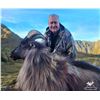 Image 2 : 5 Day Red Stag (up to 320), Bull Tahr and Chamois Combo Hunt for 1 Hunter