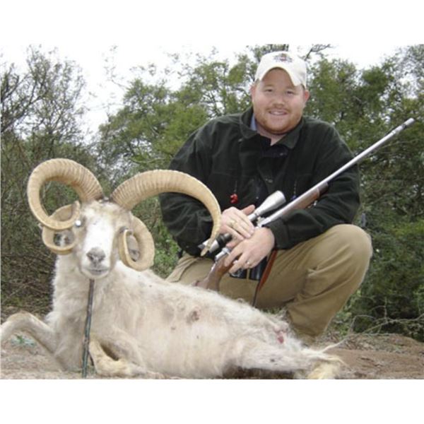 7 Day Hunt for 1 Russian Boar, 1 Texas Dall Ram & 1 Multihorned Sheep for EACH of 2 Hunters