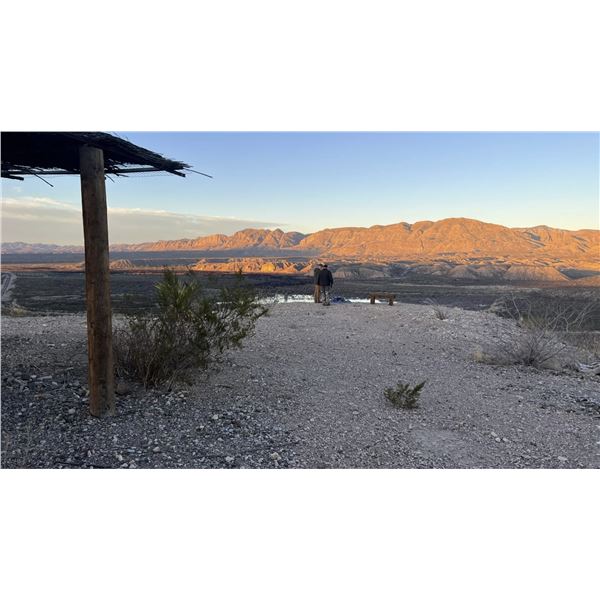 5 Day Aoudad Hunt for 1 Hunter in West Texas and Mexico