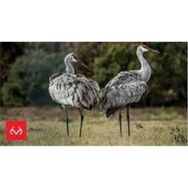 3 days/3 nights Texas Sandhill Crane Hunt for 2 Hunters
