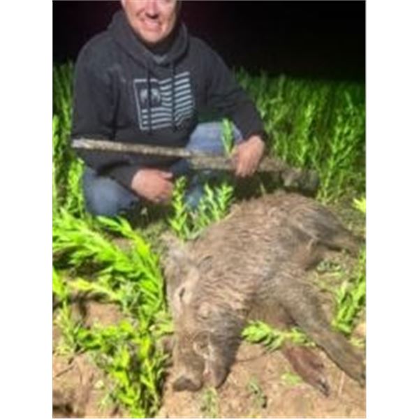 3-Day/3-Night Texas Hog Hunt for 2 Hunters