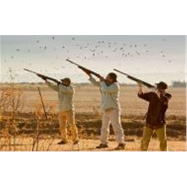 Dove Shoot for 8 Hunters in Santa Fe, Argentina