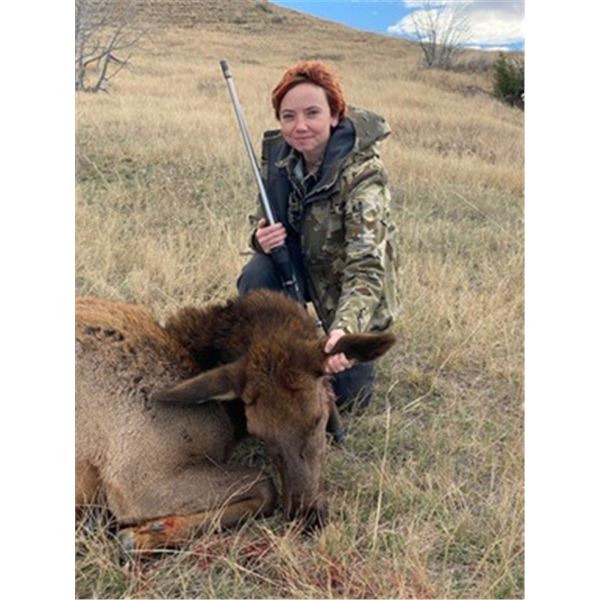 Wyoming Cow Elk Hunt for Two Hunters