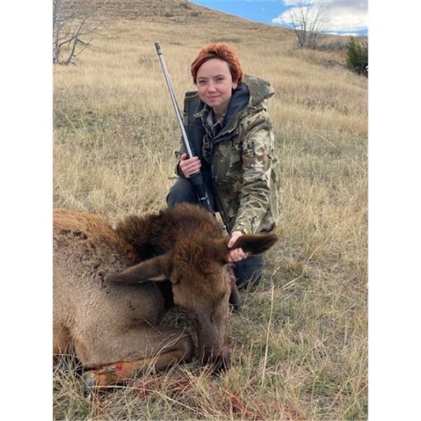 Wyoming Cow Elk Hunt for Two Hunters