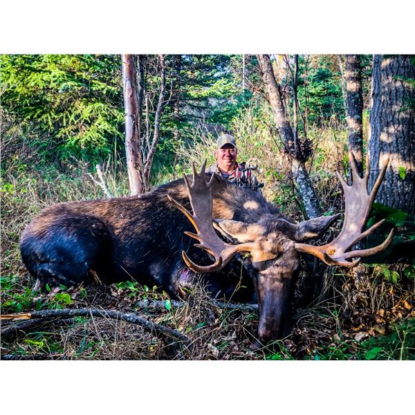 Alberta Archery Moose hunt with Reel Exposure Guiding